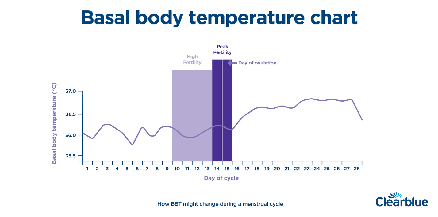 basal-body-temperature-definition-and-charts-clearblue
