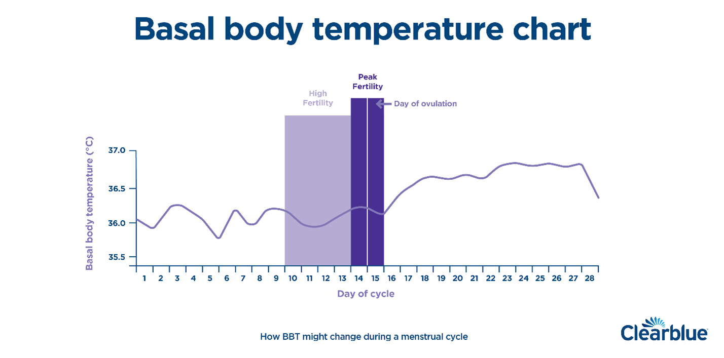 Basal Body Temperature Chart Vs Not